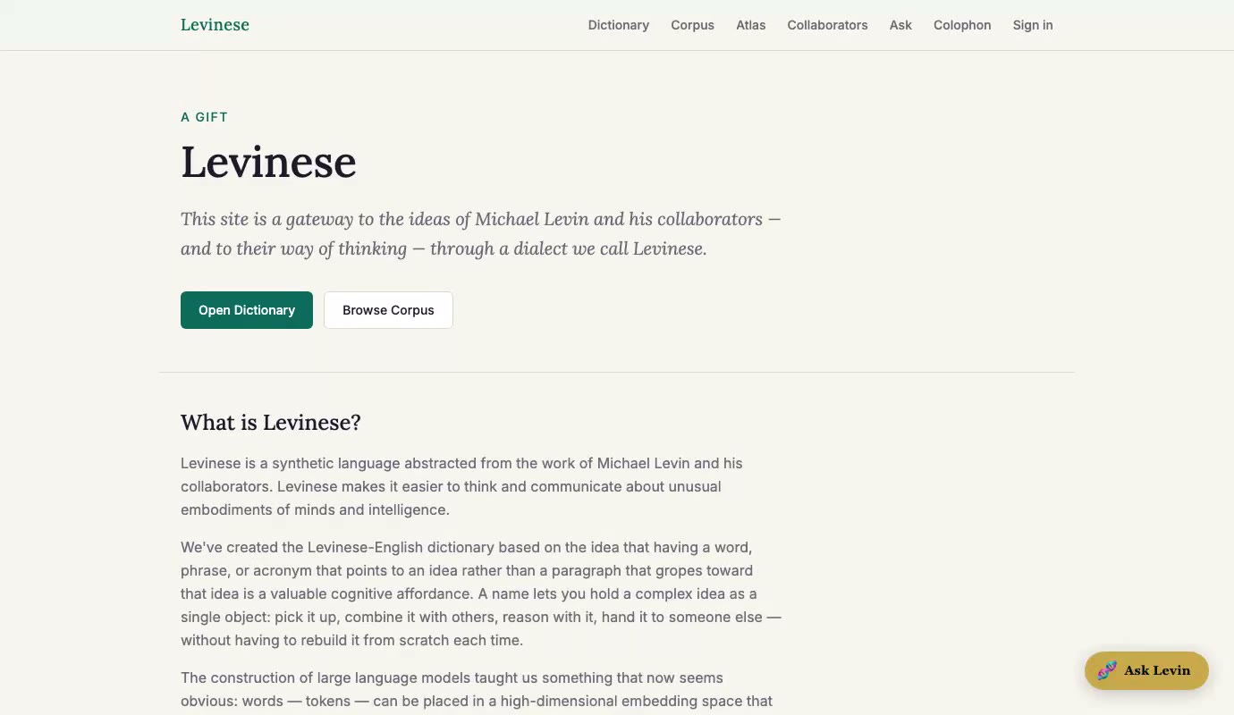 A guided tour of Levinese